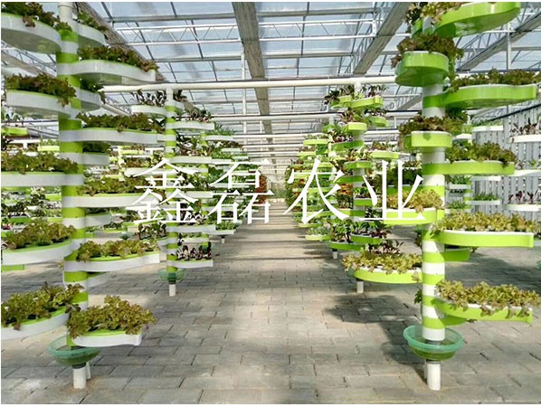 花卉、育苗基地